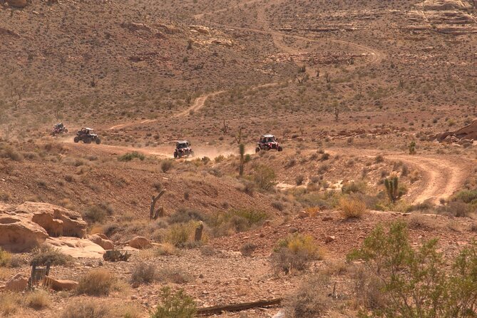 Las Vegas Mini Desert RZR Adventure - Mojave Desert Views on the Way Back: The Chill Part