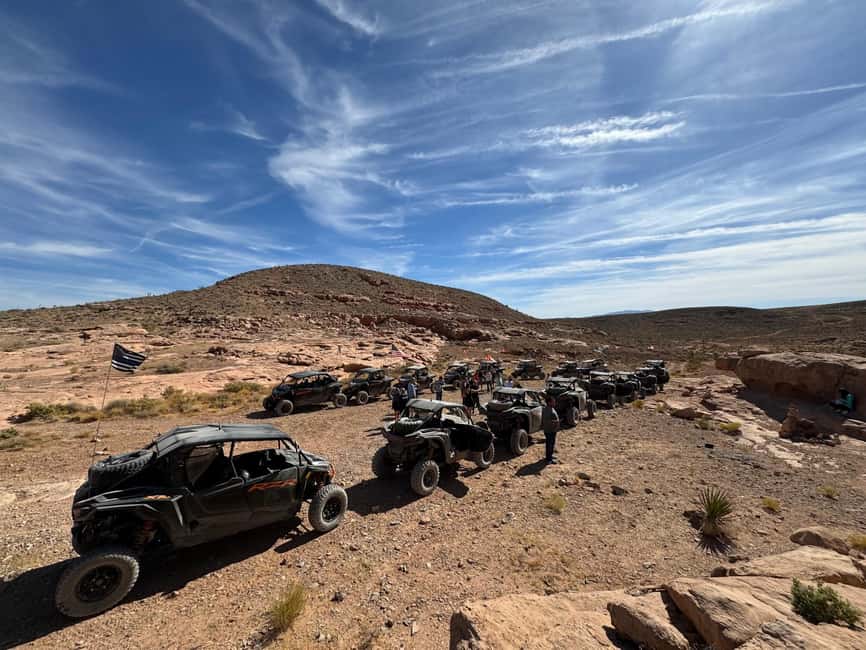 Las Vegas Mojave Off Road Adventure |Guided Tour-Let's Ride! - What you will see out there: Joshua trees, cactus, and seasonal color