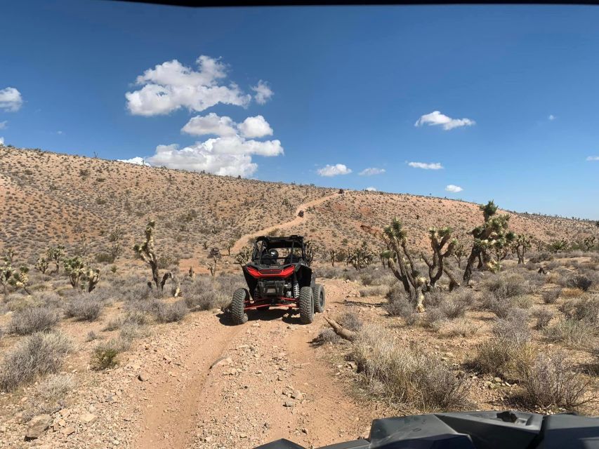Las Vegas Mojave Off Road Adventure |Guided Tour-Let's Ride! - Price and value: what $449 per group really buys you