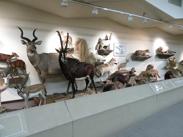 Las Vegas Natural History Museum Admission Ticket - Key things to know before you go