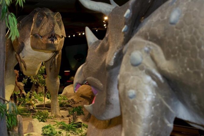 Las Vegas Natural History Museum Admission Ticket - Price and Value: What $14.36 Gets You (and What It Does Not)