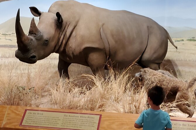 Las Vegas Natural History Museum Admission Ticket - Marine Life Gallery: Live Sharks, Stingrays, and a Tank That Works for Kids
