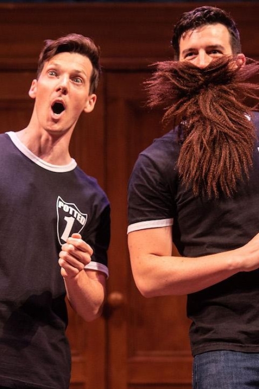 Las Vegas: Potted Potter - The Unauthorized Harry Experience - Price and Value: What $35 Really Buys You