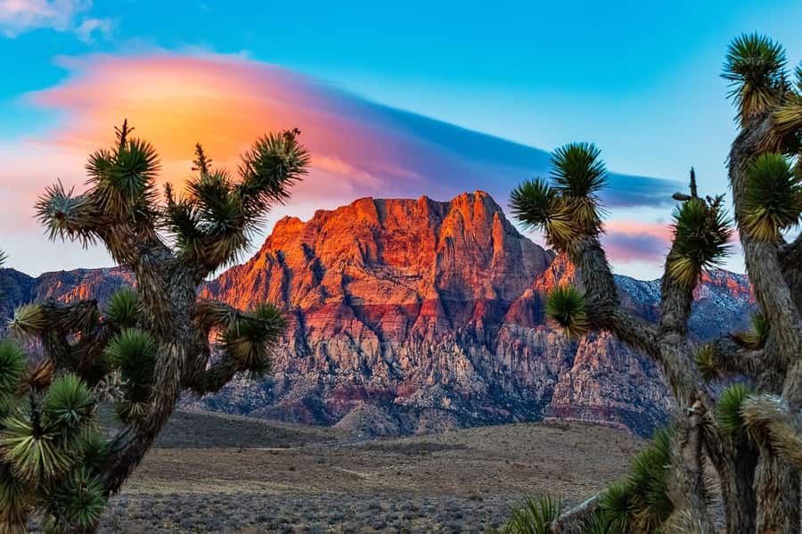 Las Vegas: Private Red Rock Canyon Guided Driving Adventure - Key takeaways before you go