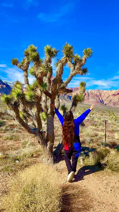 Las Vegas: Private Red Rock Canyon Guided Driving Adventure - Getting picked up from anywhere on the Strip, then getting comfy fast