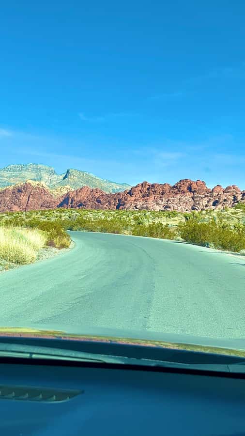 Las Vegas: Private Red Rock Canyon Guided Driving Adventure - Wildlife spotting: bighorn sheep, mule deer, and desert turtles
