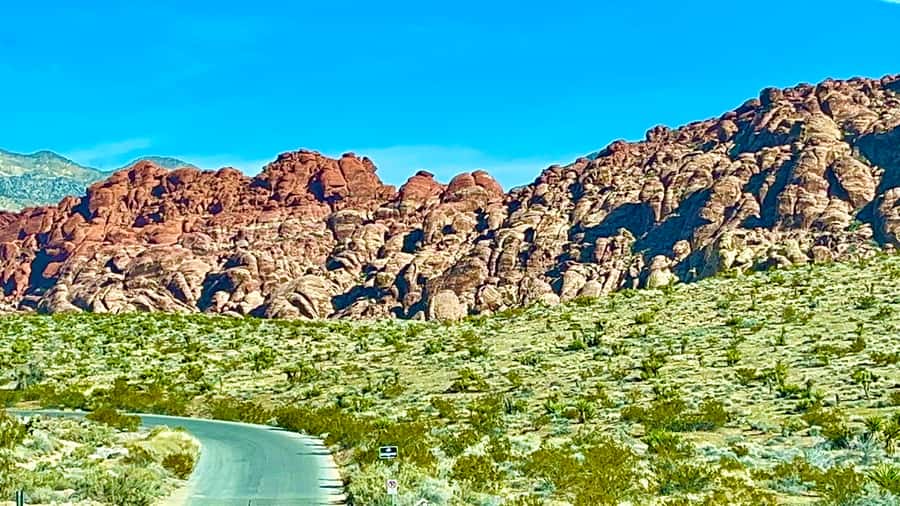 Las Vegas: Private Red Rock Canyon Guided Driving Adventure - What to bring, and the few rules you should actually care about