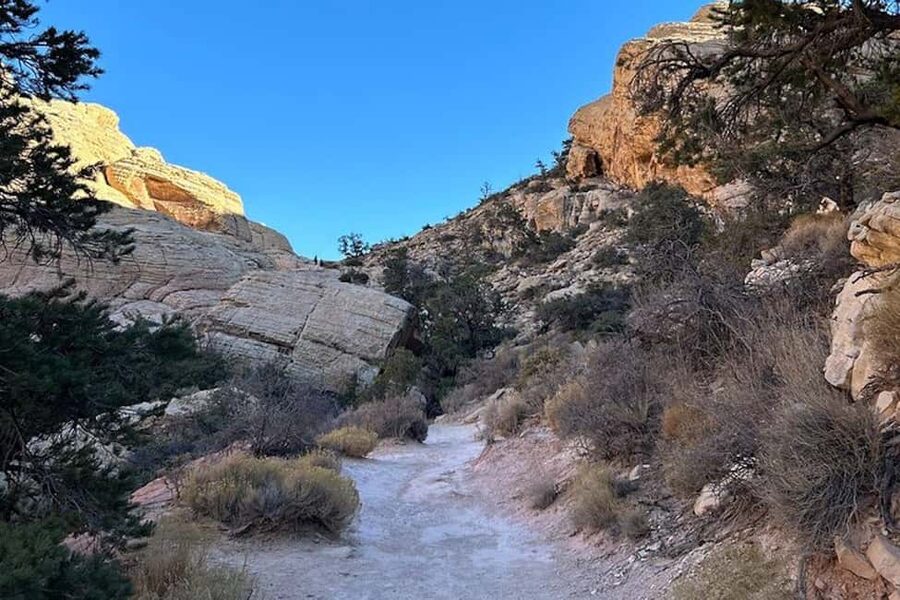 Las Vegas: Red Rock Canyon Guided Hike with Pickup - Tips to Make Your 4 to 5 Hours Go Smoothly