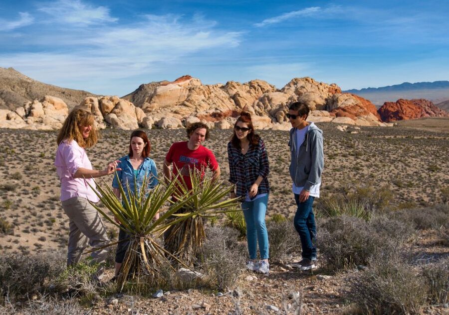 Las Vegas: Red Rock Canyon Tour & Rocky Gap 4x4 Adventure - From the Strip to Red Rock in a real Jeep, not a bus