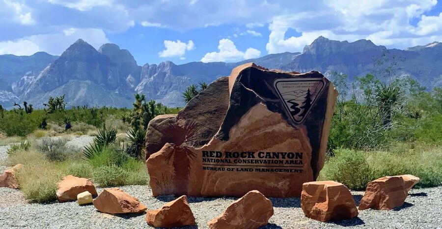 Las Vegas: Red Rock Canyon & Whimsical Cactus Joe's + Lunch - Red Rock Canyon just outside Vegas: why this half-day feels worth it