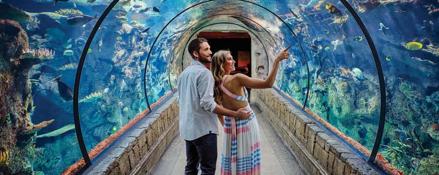 Las Vegas: Shark Reef Aquarium Entry Ticket - Shark Reef Aquarium at Mandalay Bay: what you’re really buying