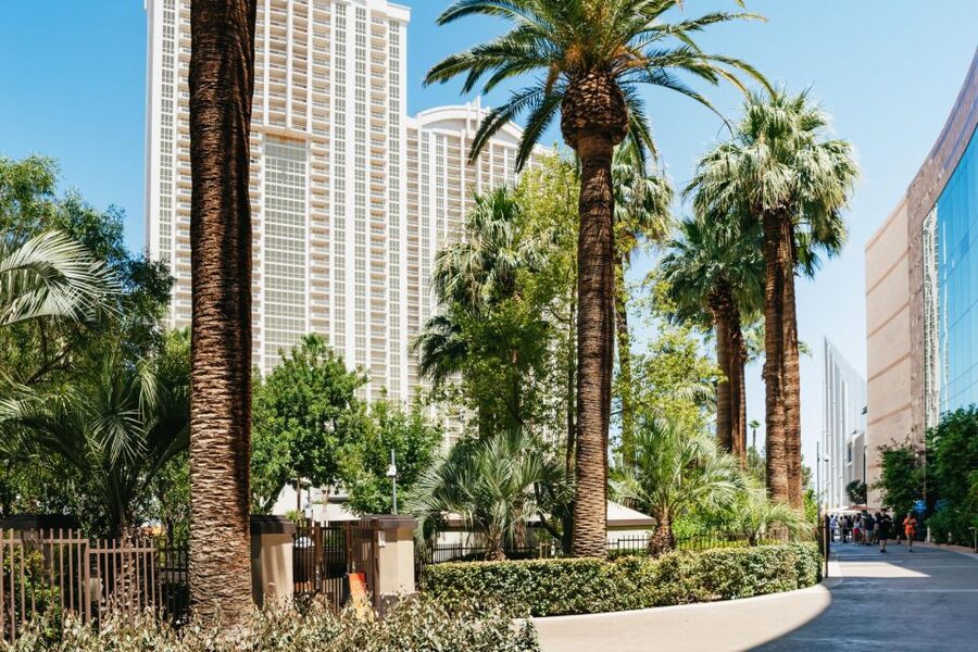 Las Vegas Strip: 3-Stop Pool Party Crawl with Party Bus - What $99 Includes, and What You Still Might Pay