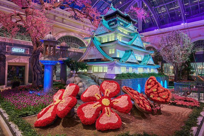 Las Vegas Strip Walking Tour - What makes this tour feel truly private