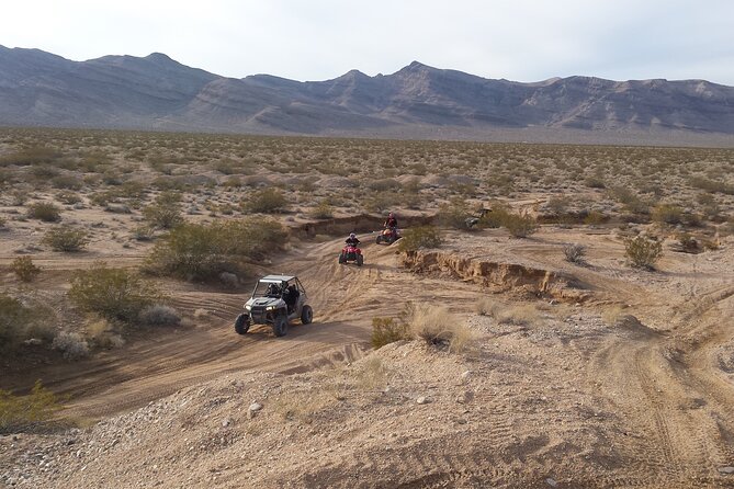 Las Vegas UTV Tour - Guides, Timing, and That First-Ride Learning Curve