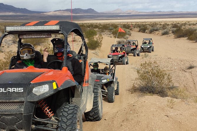 Las Vegas UTV Tour - Price, Small-Group Value, and Who This Tour Fits Best