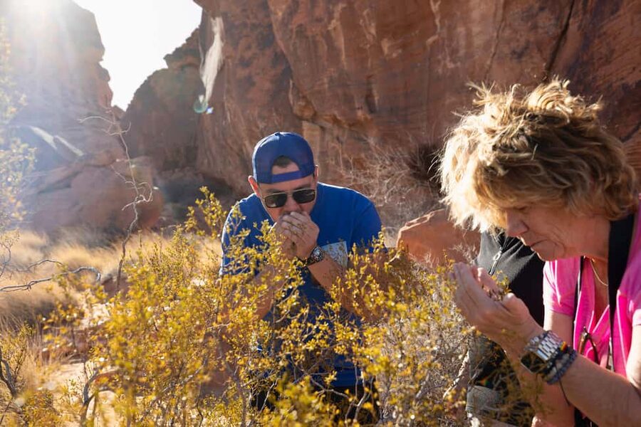 Las Vegas: Valley of Fire and Red Rock Canyon Day Trip - Quick take: what makes this tour work