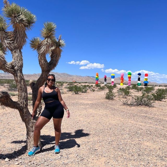 Las Vegas: Valley of Fire and Red Rock Canyon Day Trip - Best for: who this day trip fits perfectly