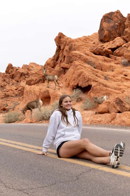 Las Vegas: Valley of Fire and Red Rock Canyon Day Trip - Atlatl Rock petroglyphs: where the desert gets old fast