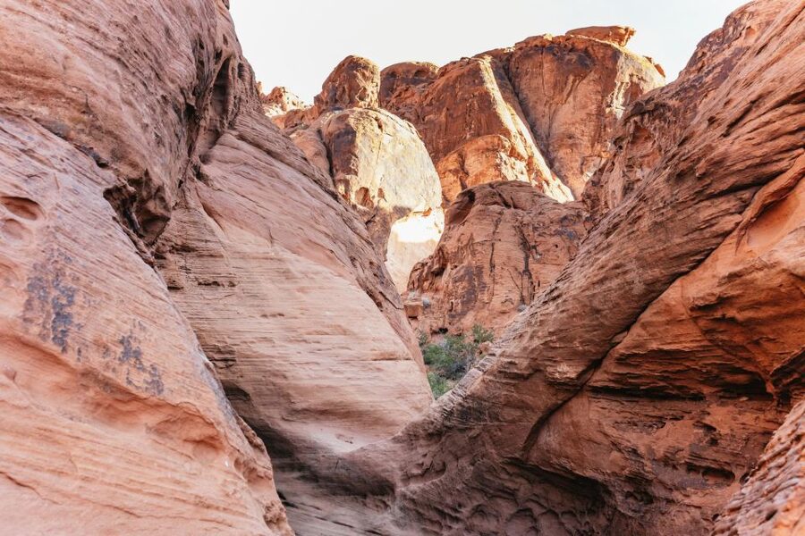 Las Vegas: Valley of Fire Guided Hike with Drinks and Snacks - Choosing Your Trail: Easy, Moderate, and Difficult Scrambles