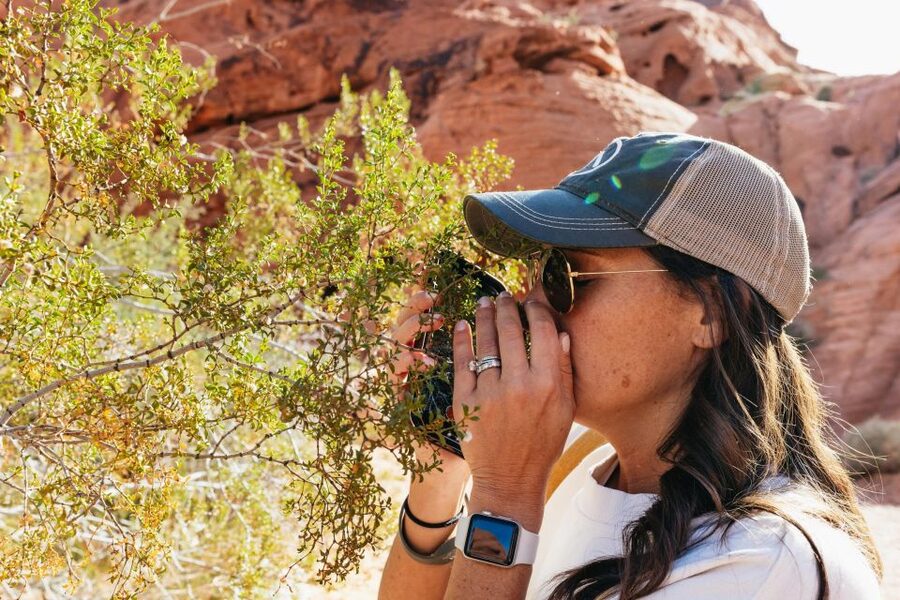 Las Vegas: Valley of Fire Guided Hike with Drinks and Snacks - Snacks, Drinks, and Keeping Your Energy Steady