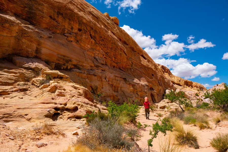 Las Vegas: Valley of Fire Half-Day Guided Hike with Pickup - Why Valley of Fire feels like a different world