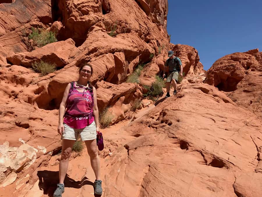 Las Vegas: Valley of Fire Half-Day Guided Hike with Pickup - Price and value: is $119 a fair deal?