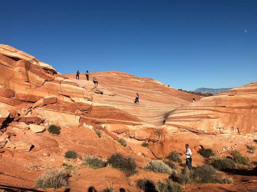Las Vegas: Valley of Fire Half-Day Guided Hike with Pickup - Hotel pickup and the flow of a half-day hike