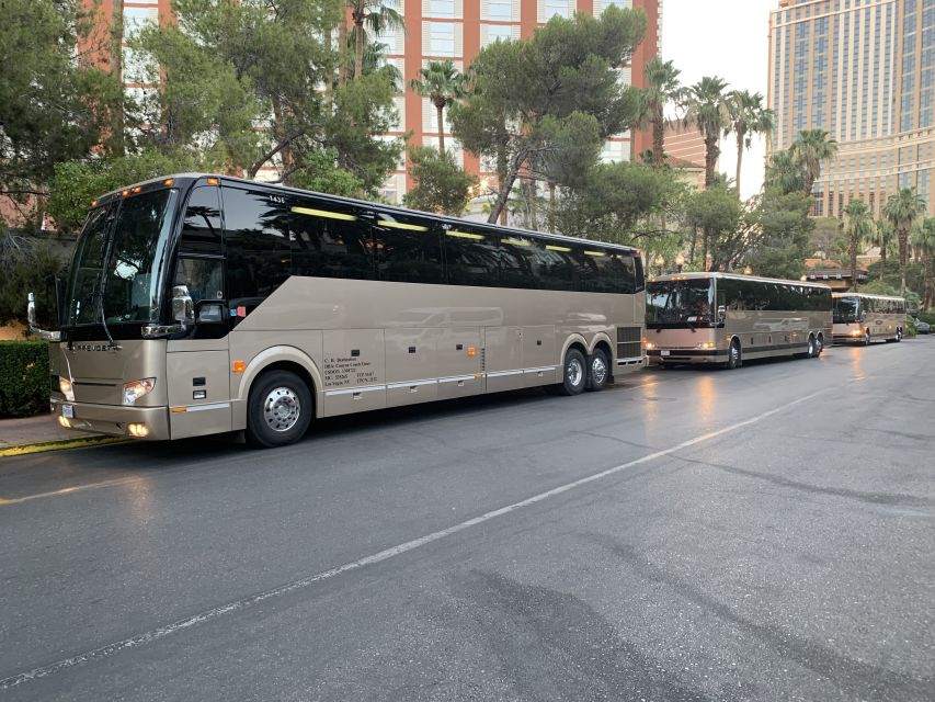 Las Vegas/Williams/Tusayan/Grand Canyon: One-Way Shuttle - Comfort details that matter on a long ride