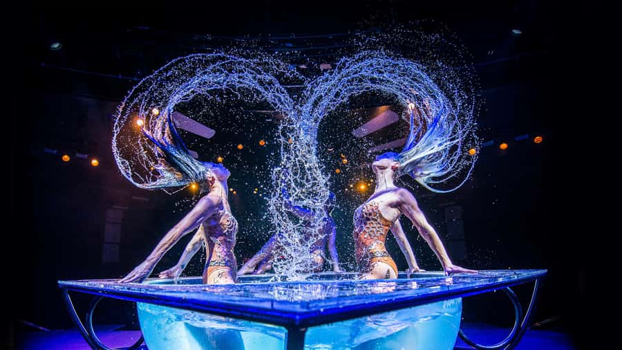 Las Vegas: WOW - The Vegas Spectacular at Rio Hotel & Casino - Key highlights before you go