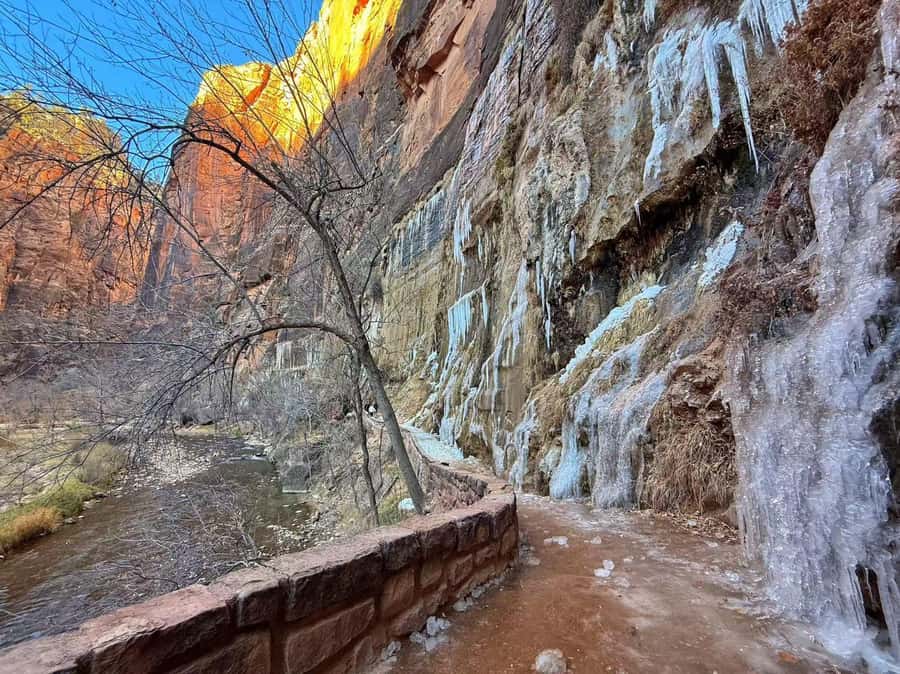 Las Vegas: Zion National Park Group Tour with Lunch - Key reasons this Zion day trip works from Las Vegas