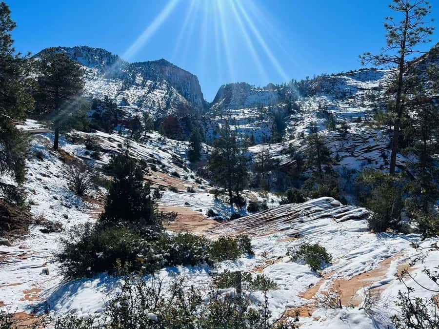 Las Vegas: Zion National Park Group Tour with Lunch - Deli lunch, water, and snacks so you do not pay the price later