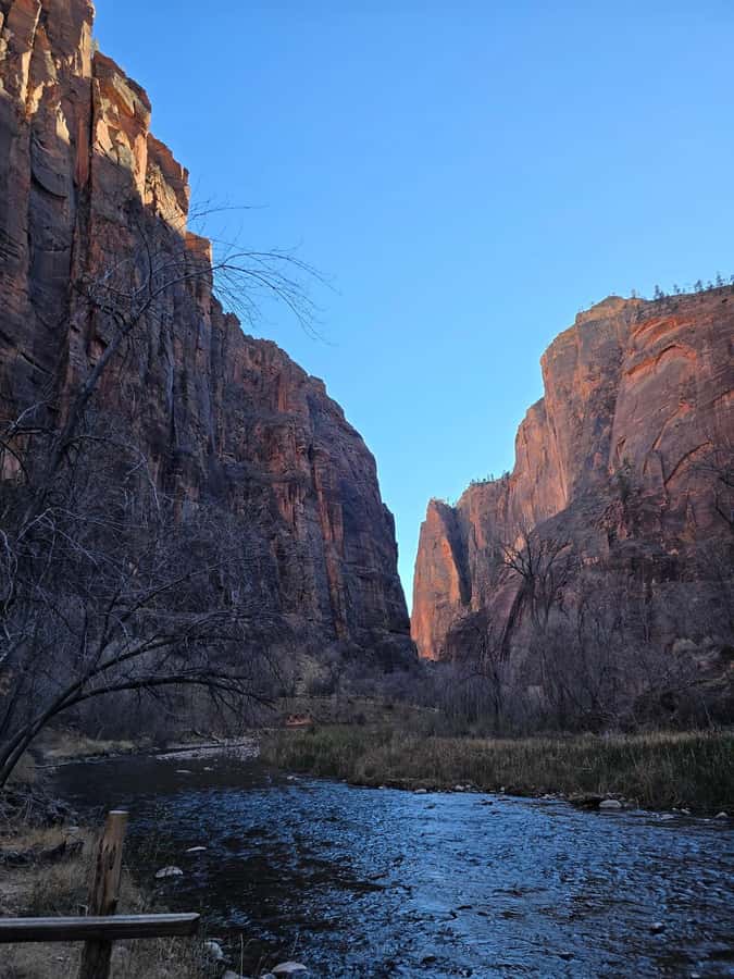 Las Vegas: Zion National Park Group Tour with Lunch - Professional driver-guide service that keeps the day smooth