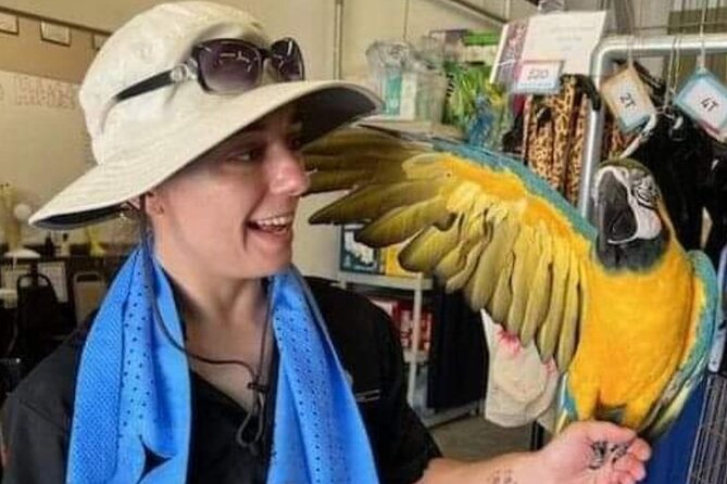 Lion Habitat Ranch Admission Ticket in Las Vegas - Keeper chats and demonstrations: how the information actually helps
