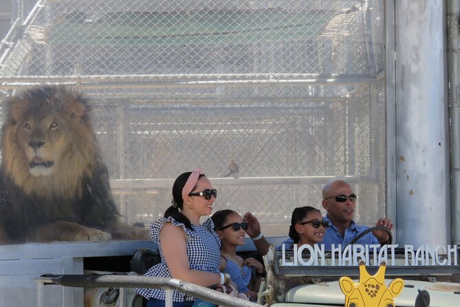 Lion Habitat Ranch Admission Ticket in Las Vegas - Feeding moments, Rocky, Ozzie, and why timing affects your photos