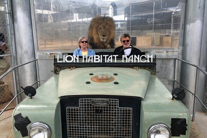 Lion Habitat Ranch Admission Ticket in Las Vegas - Comfort, heat, and what to bring for a smooth hour