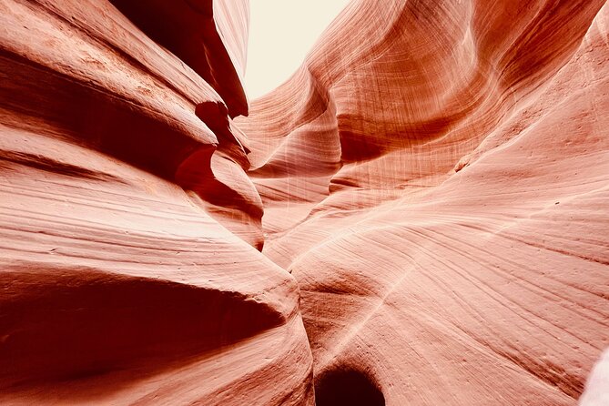 Lower Antelope Canyon and Horseshoe Bend Day Tour with Lunch - Horseshoe Bend: 1,000 feet up, 270 degrees of Colorado River