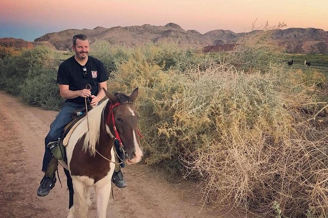 Morning Horseback Ride with Breakfast from Las Vegas - What the desert trail feels like, plus critter and photo opportunities