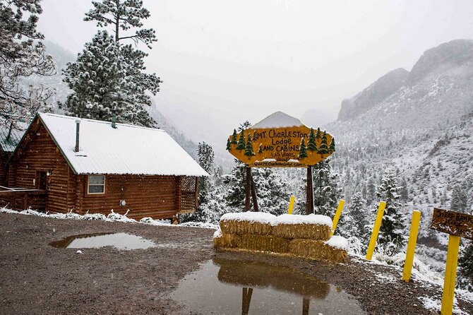 Mount Charleston Tour from Las Vegas - Key points that matter before you go