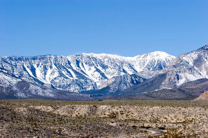 Mount Charleston Tour from Las Vegas - Mount Charleston feels like Vegas, but upside down