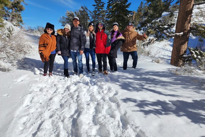 Mount Charleston Tour from Las Vegas - The Retreat on Charleston Peak: 3 hours with admission included