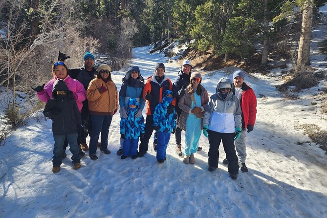 Mount Charleston Tour from Las Vegas - Lee Canyon, sledding, and snow play when conditions allow