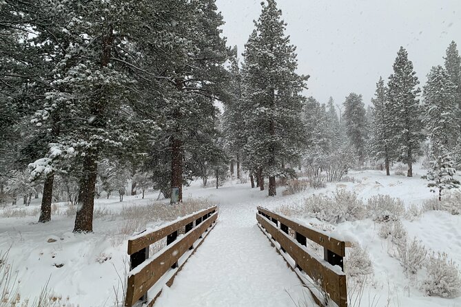 Mount Charleston Tour from Las Vegas - Getting there: early pickup and a calm ride to the mountains