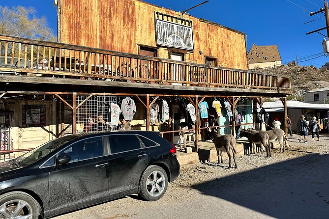 Oatman Mining Camp, Burros, Scenic RT 66 Direct From Las Vegas - Burros in Oatman, the part you’ll talk about later