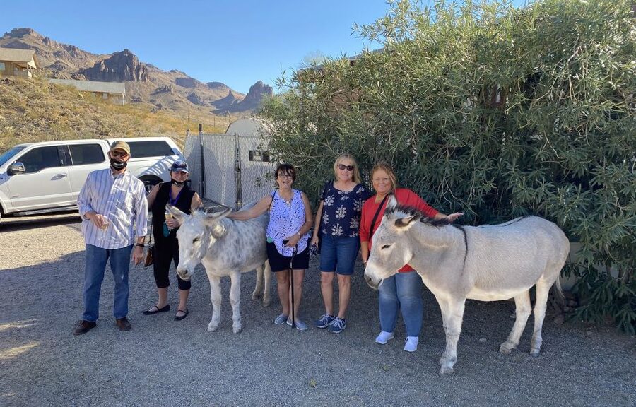 Oatman Mining Village: Burros/Route 66 Scenic Mountain Tour - Oatman Mining Town, burros, shops, and the high-noon reenactment