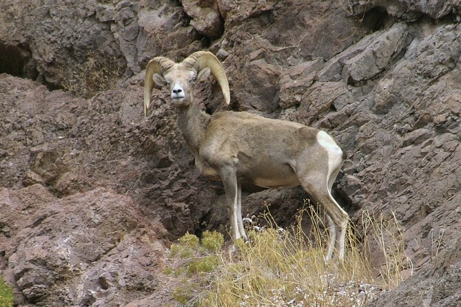 Old West ATV or RZR Adventure with Gold Mine Tour and Lunch - Value for your $334: what’s included that saves you money