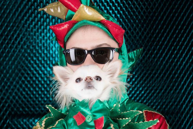 Piff the Magic Dragon at the Flamingo Las Vegas - Best for families, couples, and groups that like laughter