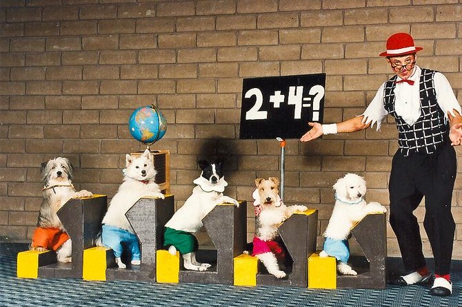 Popovich Comedy Pet Theater at Planet Hollywood Resort and Casino - Drinks and what you can bring into the theater