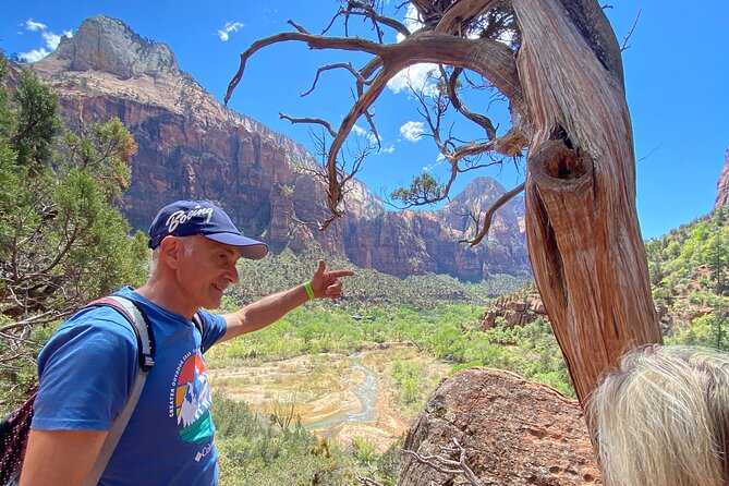 Private Guided Photography & Walking Tour of Zion National Park - Guide-led pacing and photography help: the big reason people recommend it
