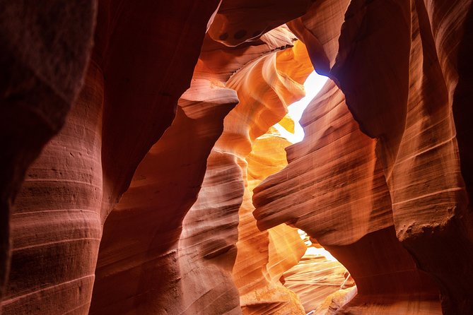 Private Overnight Tour to Antelope Canyon, Horseshoe Bend Zion from Las Vegas - Big Water Dinosaur Center: Quick Stop, Oddly Memorable