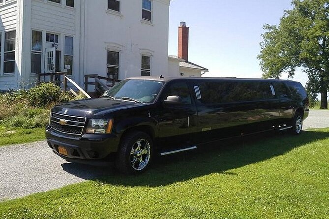 Private Roundtrip Transfer: To Las Vegas by Luxury Limo - The real win: bypass the taxi scramble at McCarran